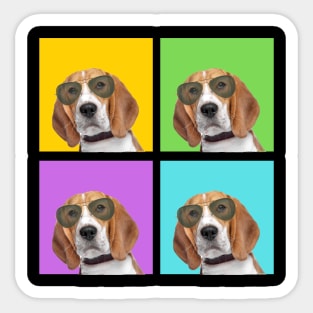 Cool Beagle Sticker